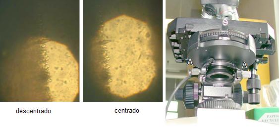 microscopio optico enfoque  imagen
